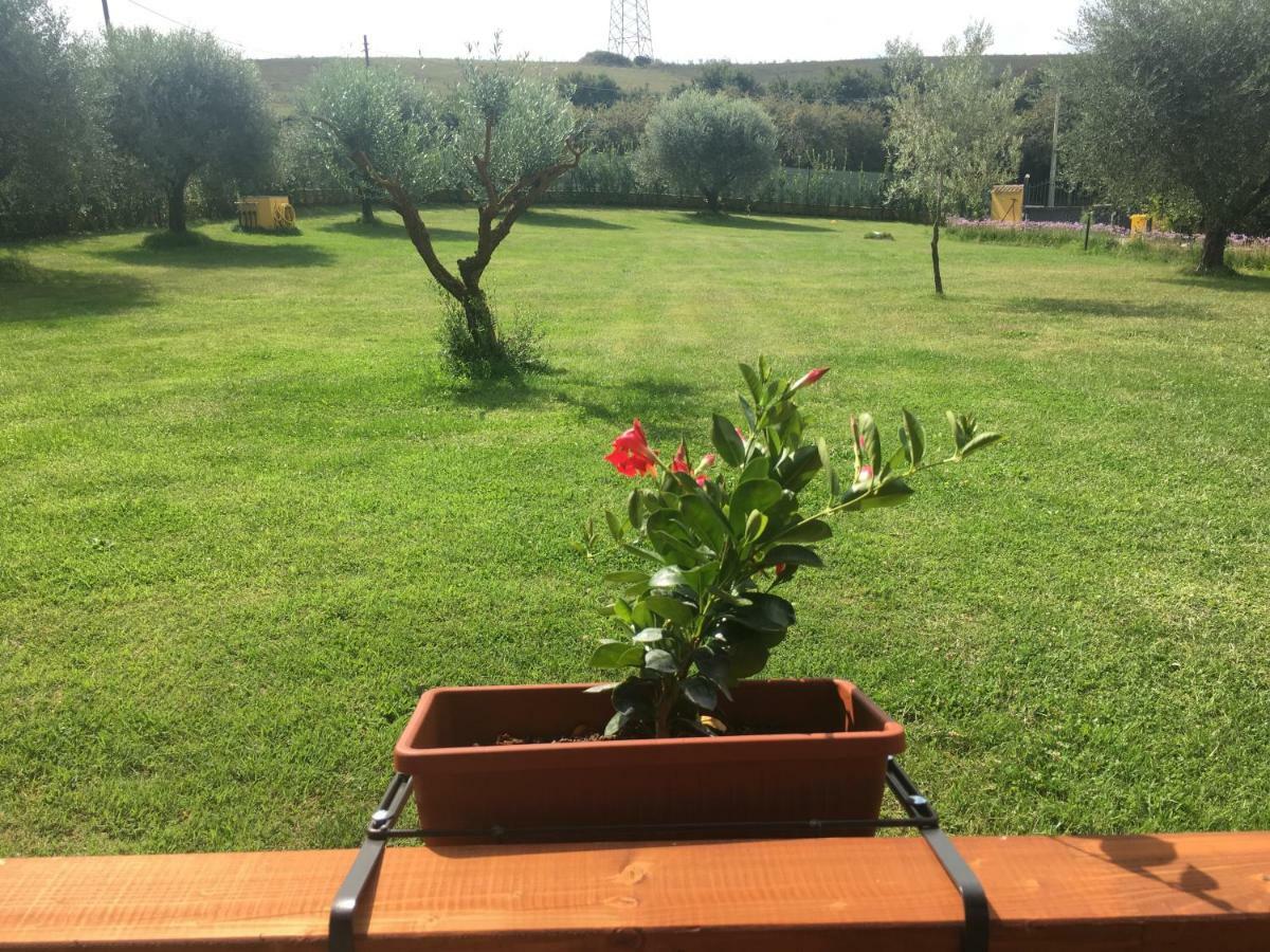 La Rosa Del Lago Bracciano  Extérieur photo