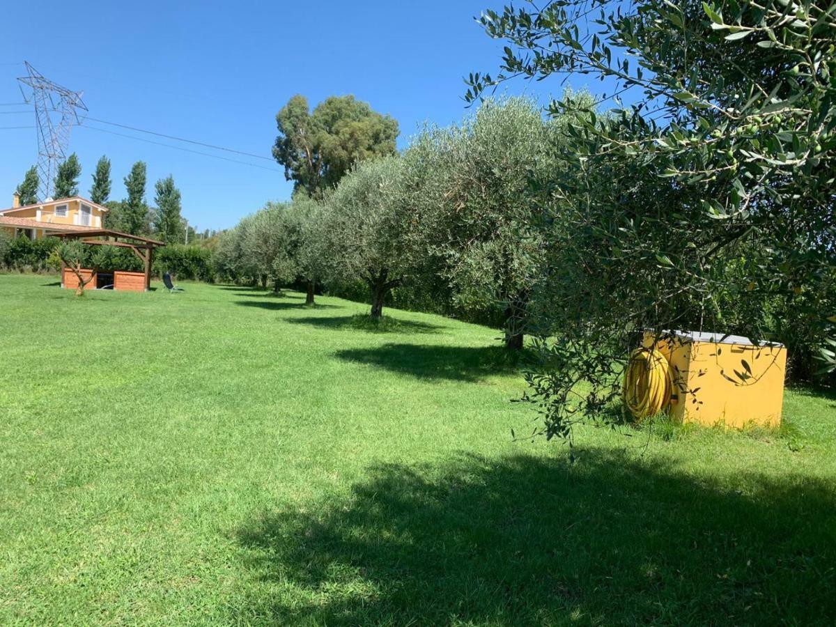 La Rosa Del Lago Bracciano  Extérieur photo